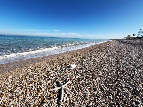 esterno, external environment