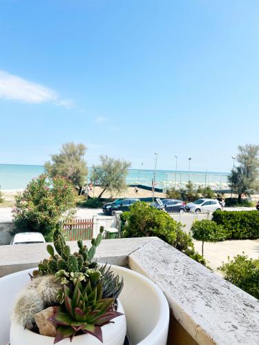 esterno, external environment